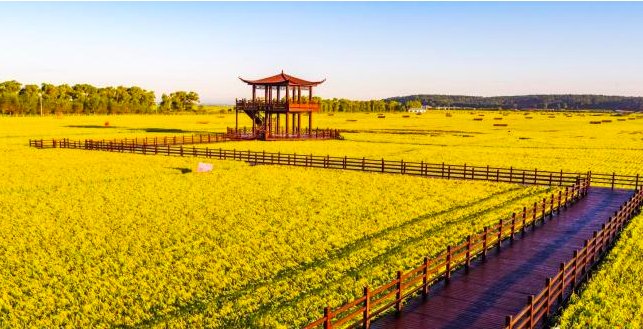 上天入地，AI新农具如何填满“中国饭碗”？