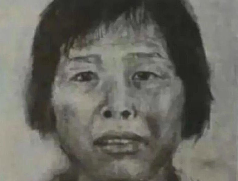 人贩子“梅姨”落网，为何多年难抓捕？