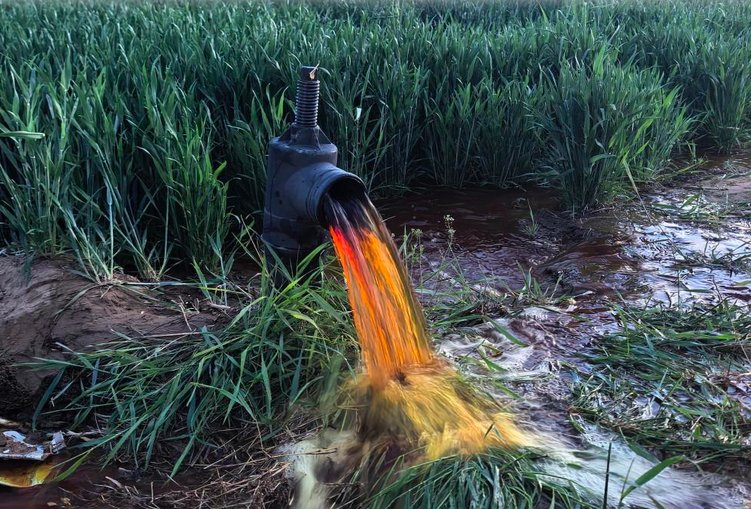 全国1.5亿亩耕地受污染，“环境哨兵”为何失灵？