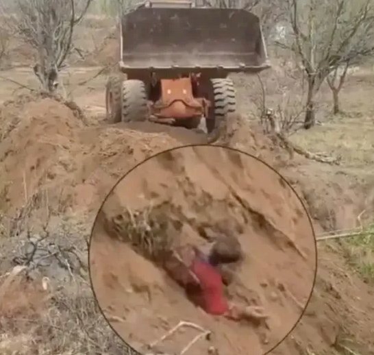 铲车下的“土皇帝”：派出所来了也照样埋