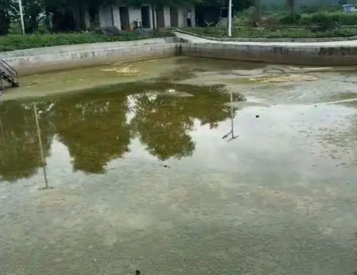 柳州太阳村泉水一夜干涸，地震与岩溶地貌共演的“地下传奇”