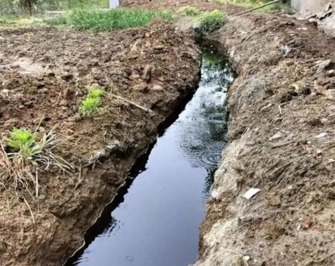 从沈丘到黄土坡：中国“癌症村”为何难以终结？