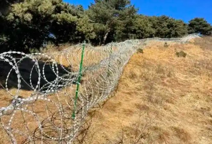 一围了之，一拆了之：泰山“刀片网”撕开了什么？