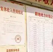 当“种子钱”沦为“私房钱”：涉农资金监管的破局之思